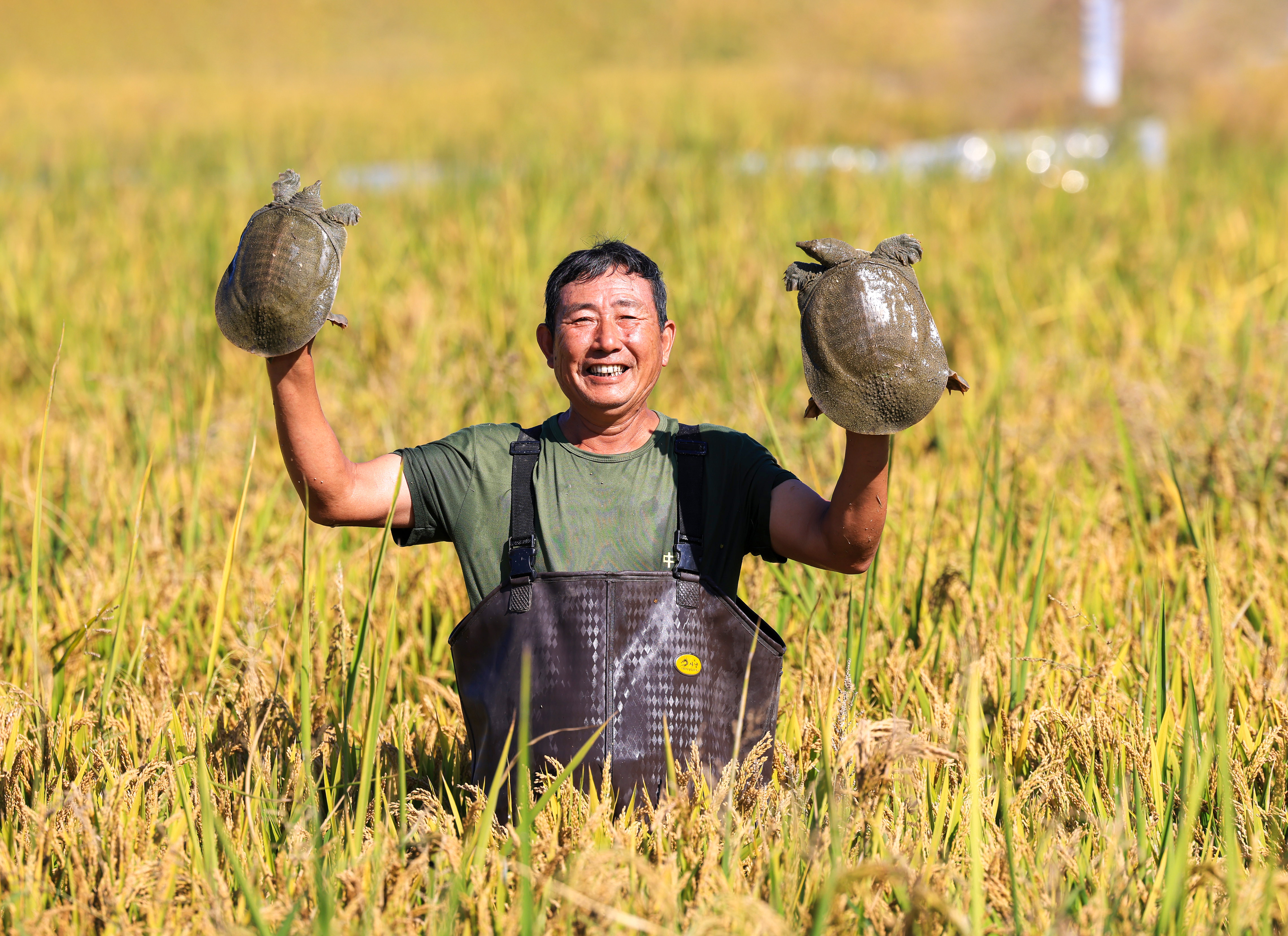 1699854539907299dsu8.jpg 共養(1).jpg