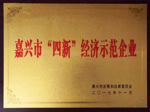 嘉興市“四新”經濟示范企業