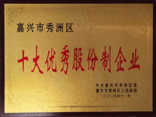 嘉興市秀洲區十大優秀股份制企業